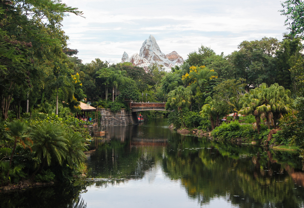 Disney World, Animal Kingdom | THIS IS FANNY